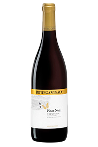 Bottega Vinaia Pinot Noir 2024