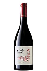 Banfi Barbera d'Asti L'Altra Anima DOCG 2023