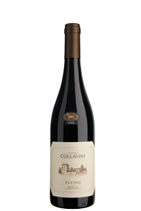 Collavini Refosco Pucino 2022