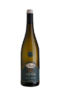 Collavini Pinot Grigio Collio 2024