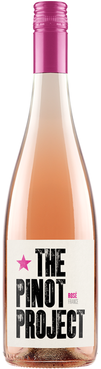 Rose 'France', The Pinot Project
