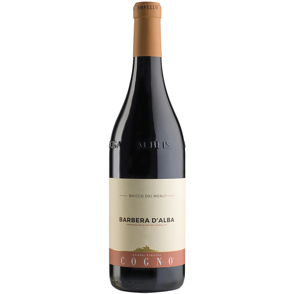 Elvio Cogno 22 Barbera Bricco Merli 2022
