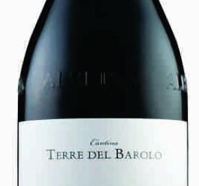 Terre Del Barolo Cantina Terre Del Barolo - Barolo 750 Ml 2021