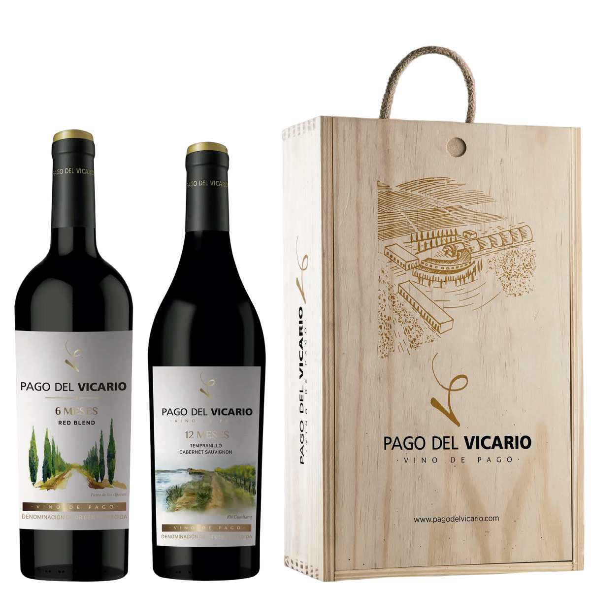 Pago del Vicario Pack 12 y 6 Meses