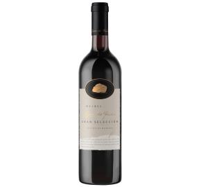 Vinartus Agua De Piedra - Gran Seleccion - Malbec 750 Ml