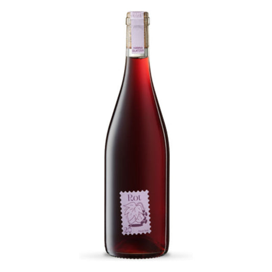 Pinot Noir, Hanna Glatzer 2023