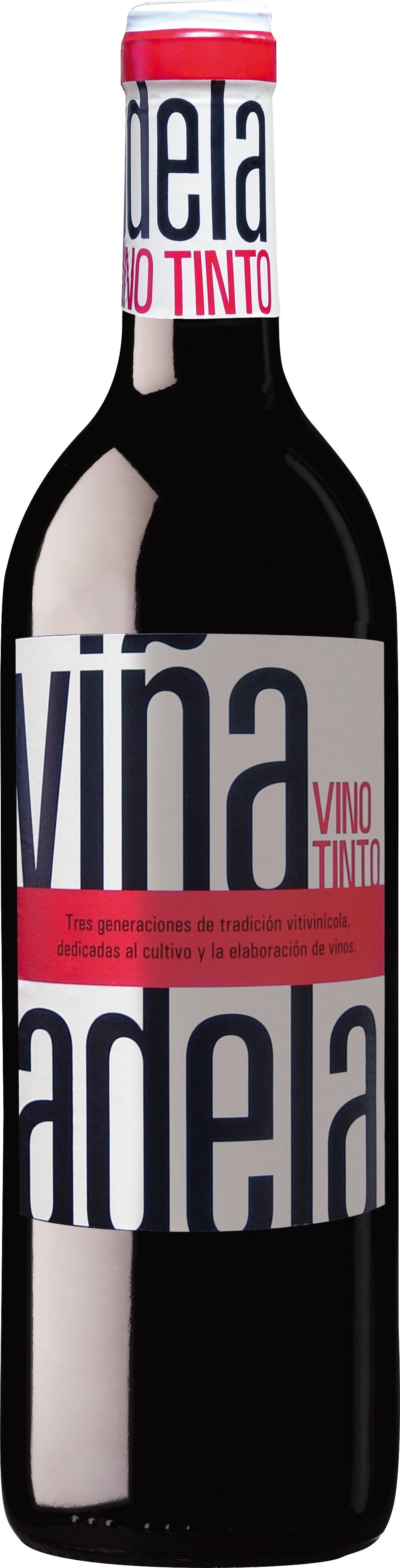 Aldeanueva Viña Adela Tinto NV *NEW*