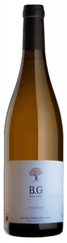 Antoine-Marie Arena Bianco Gentile 2021 (Case only)