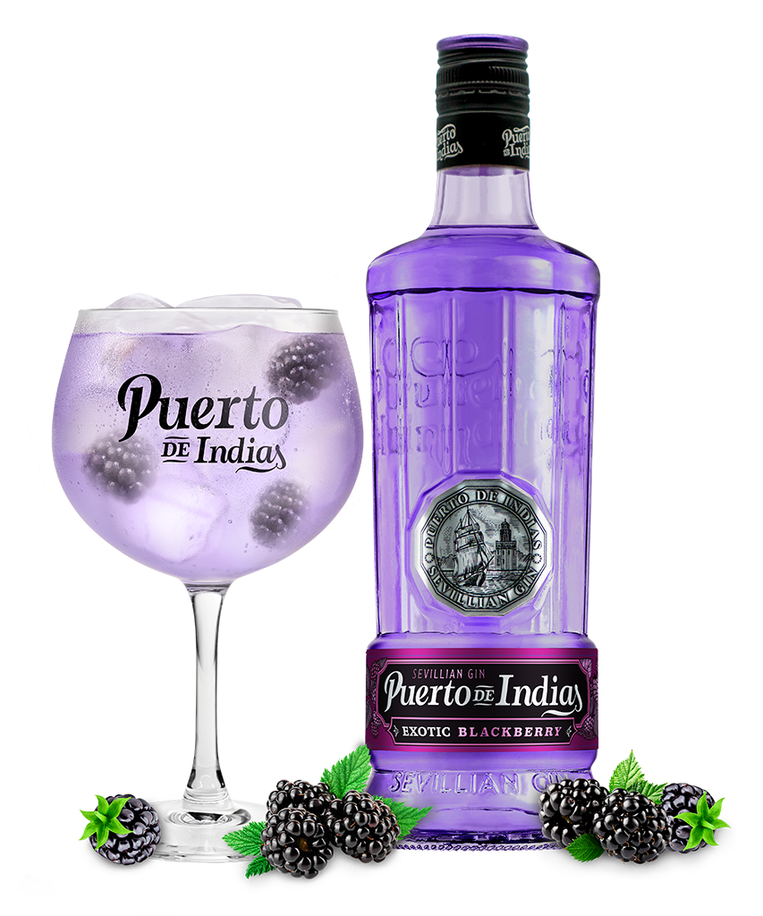 Puerto de indias Blackberry Gin