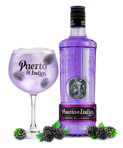 Puerto de indias Blackberry Gin