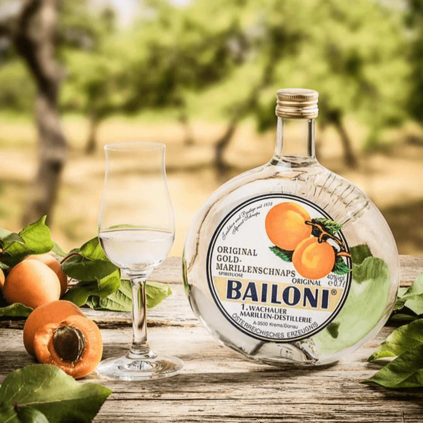 Bailoni Original Gold Apricot Schnaps 80 Pf