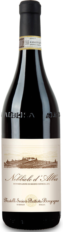 Barbera d'Alba Superiore, S & B Borgogno 2019