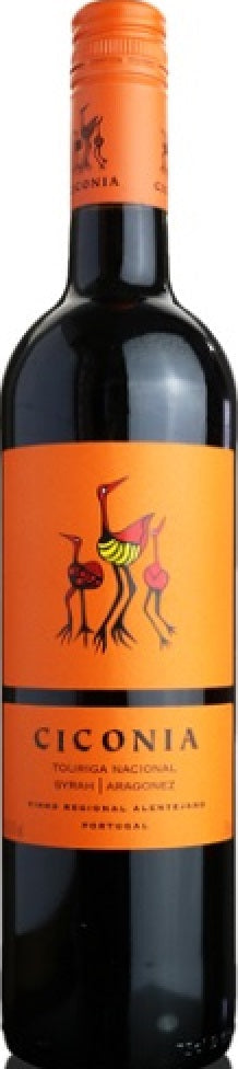 CICONIA CICONIA TOURIGA NACIONAL 2021 (Case only)