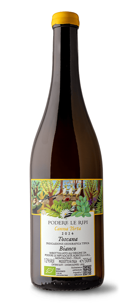 Le Ripi Canna Torta Bianco 2024