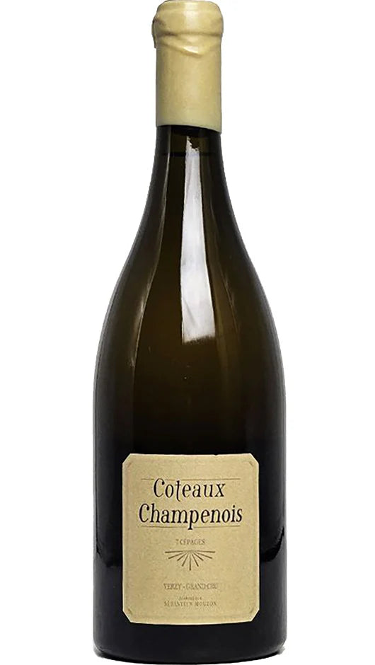 Mouzon Leroux Les Fervins Coteaux Champenois Blanc 2022