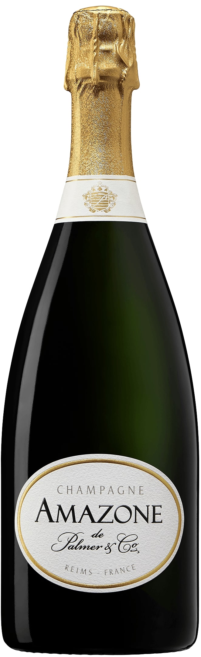 Chpg PalmerAmazone de Palmer (Case only)