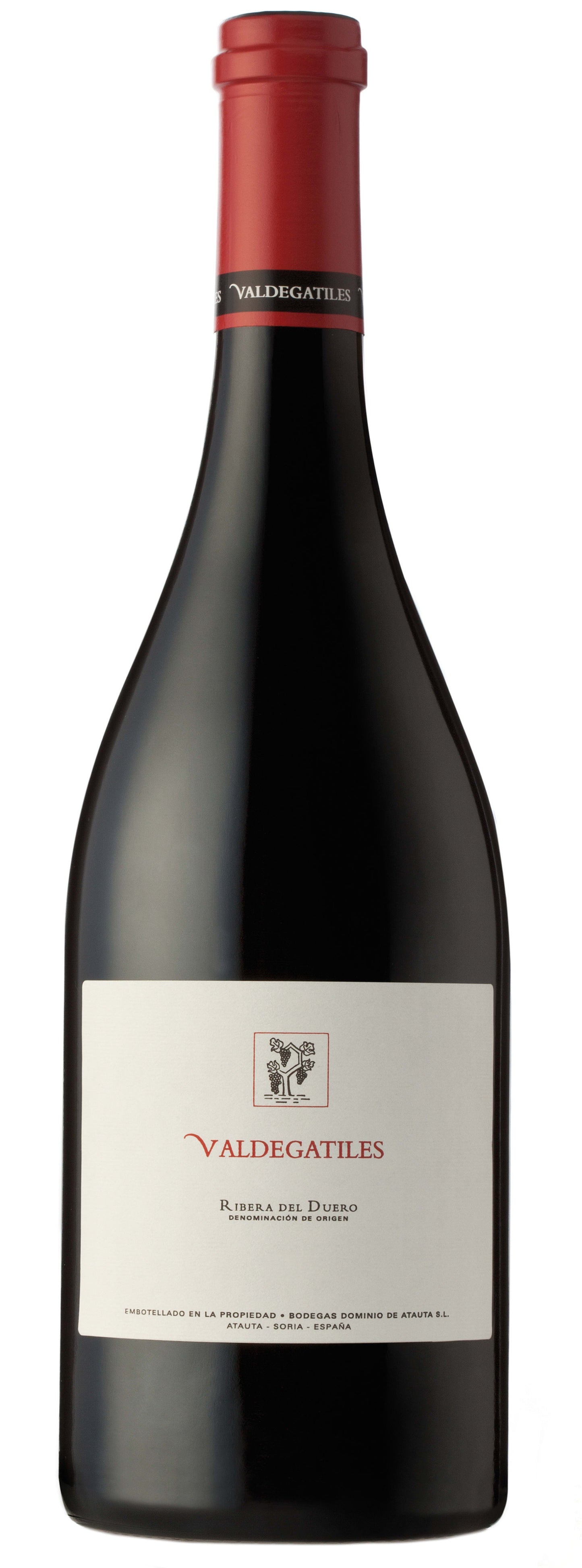 DOMINIO DE ATAUTA VALDEGATILES 2011 (Case only)