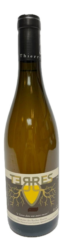 Domaine des Roches Neuves Saumur Blanc Terres 2020 (Case only)
