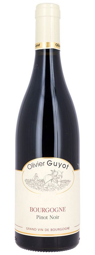 Domaine Olivier Guyot Bourgogne Pinot Noir 2020