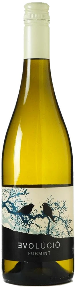 Evolúció Tokaj Tokaji Dry 2022