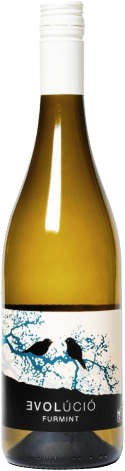 Evolúció Tokaj Tokaji Dry