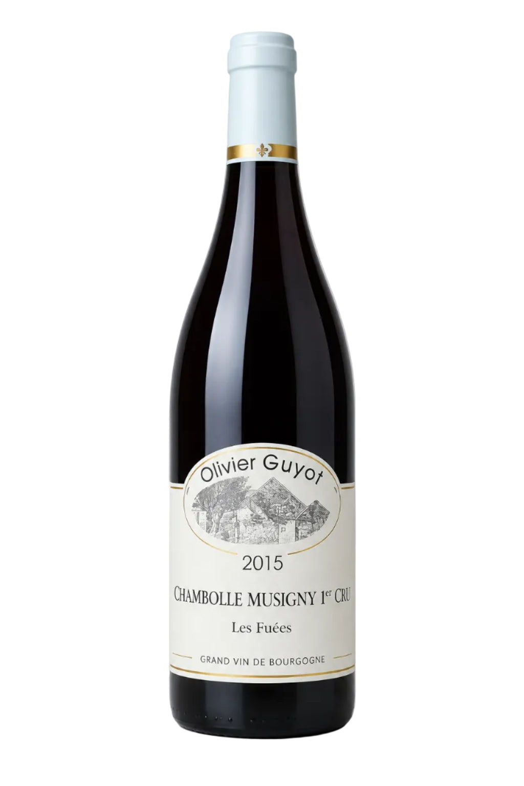 Olivier Guyot 2015