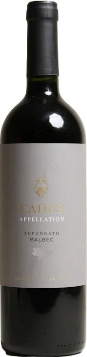 Malbec Tupungato