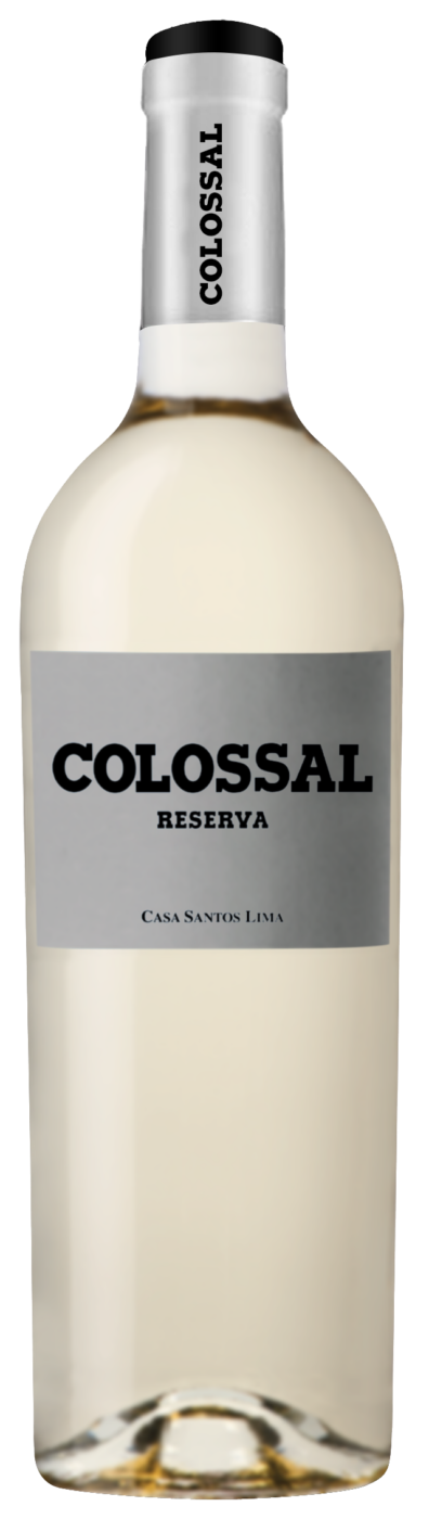 Casa Santos Lima Colossal White Blend Reserva 2019 (Case Only)
