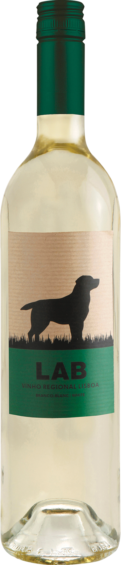 Casa Santos Lima Lab White (Case Only)