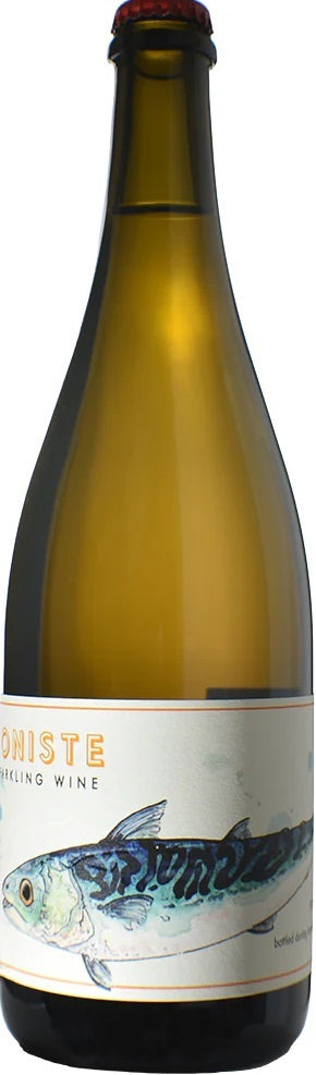 Pinot Grigio Pet Nat Brut Nature, Carboniste 2022