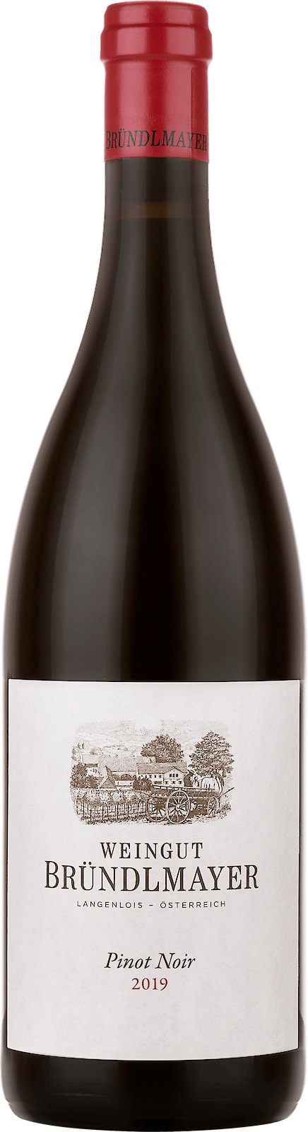 Pinot Noir, Brundlmayer 2019