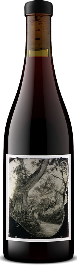 Pinot Noir 'White Buffalo Land Trust', Sandhi 2021