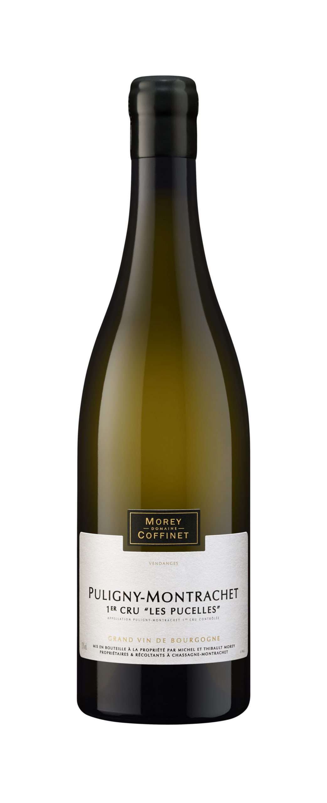 Puligny-Montrachet 1er Cru « Les Pucelles » 2024