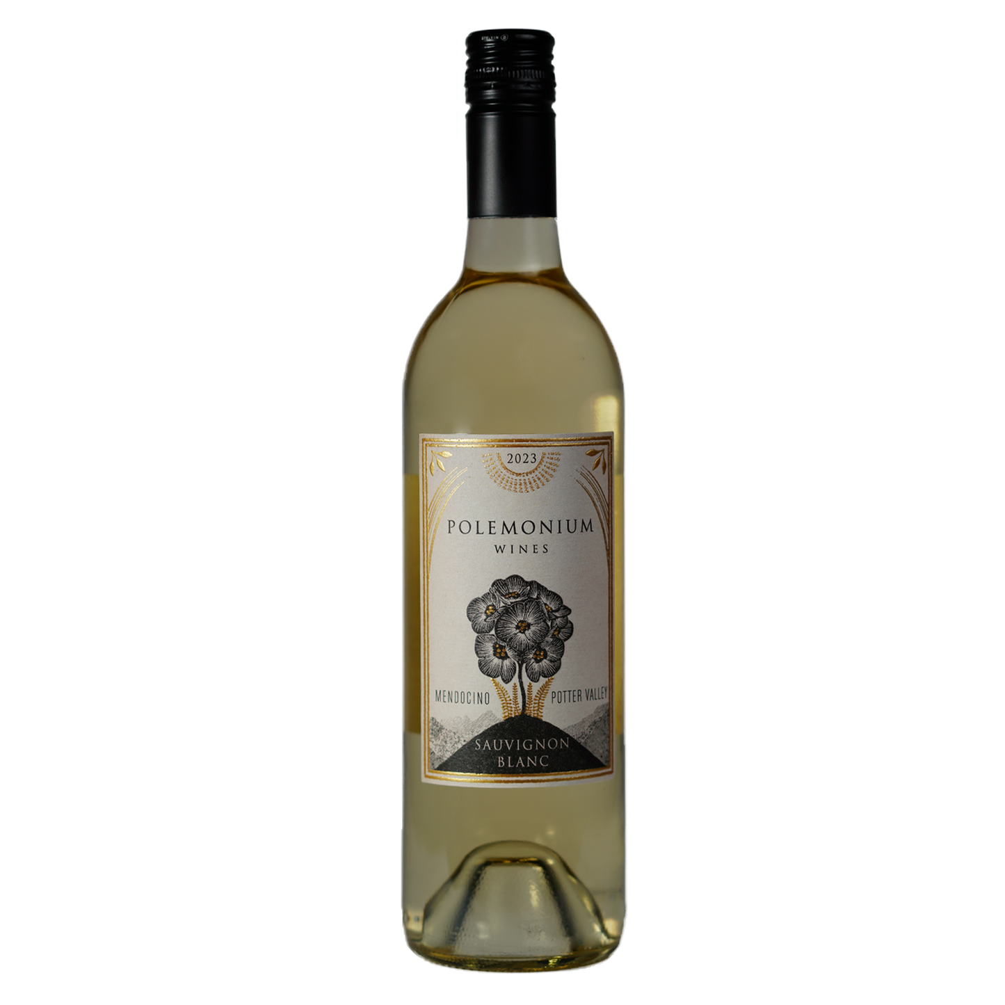 Polemonium Wines Potter Valley Sauvignon Blanc May 2026