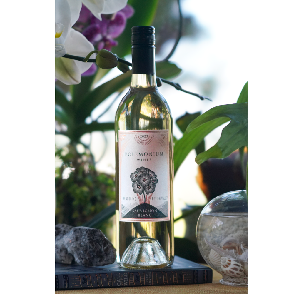 Polemonium Wines Potter Valley Sauvignon Blanc May 2026