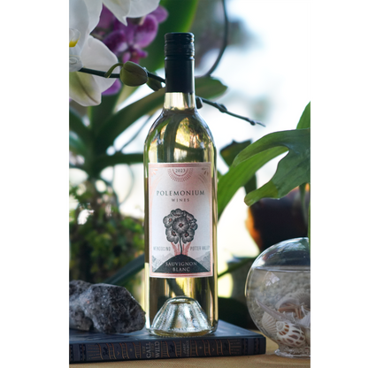 Polemonium Wines Potter Valley Sauvignon Blanc May 2026