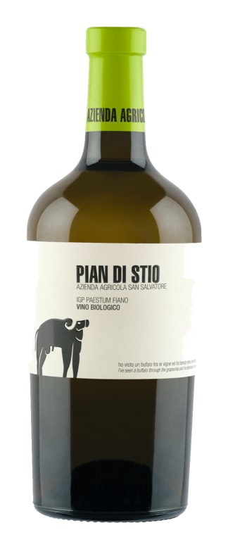 San Salvatore Pian Di Stio Fiano Paestum Igp 2021