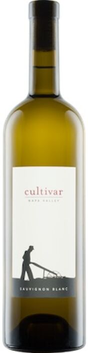 Sauvignon Blanc 'Napa Valley', Cultivar 2022