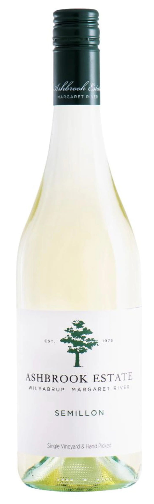 Semillon 'Viejos Vinedos', Matias Riccitelli 2024