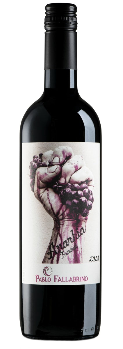Tannat, Bodega Pablo Fallabrino 2020