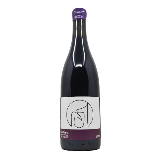 Carignan 'Mendocino', Birdhorse Wines 2022