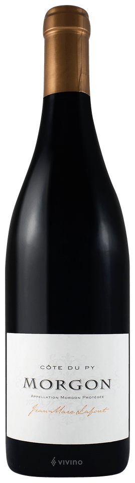Savennieres 'Clos de la Hutte', Thibaud Boudignon 2023