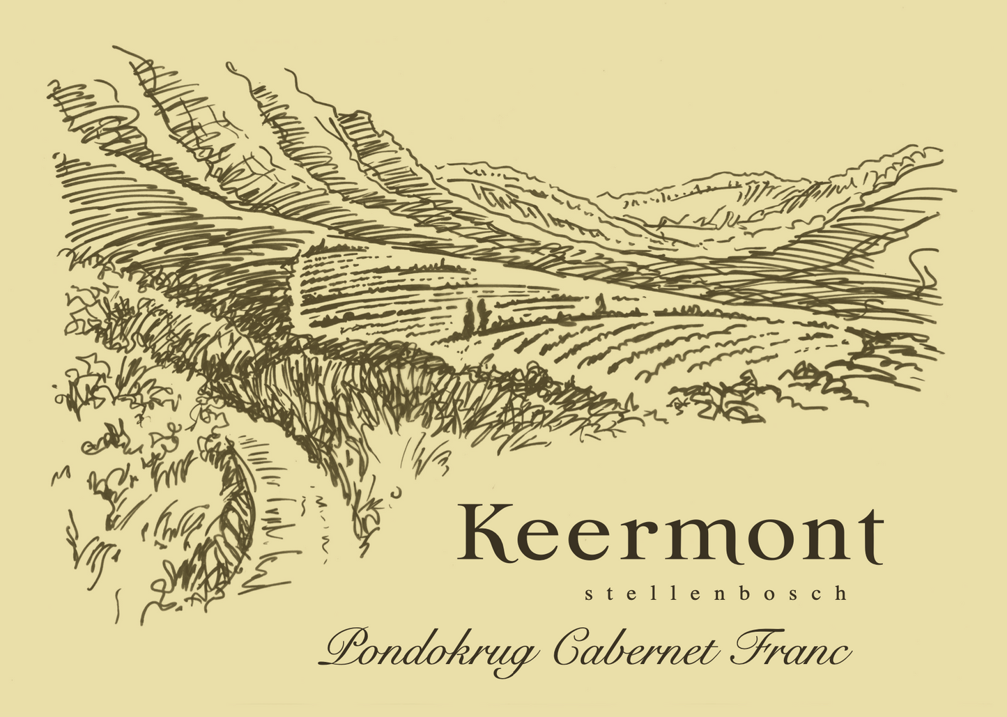 Cabernet Franc 'Pondokrug', Keermont 2018