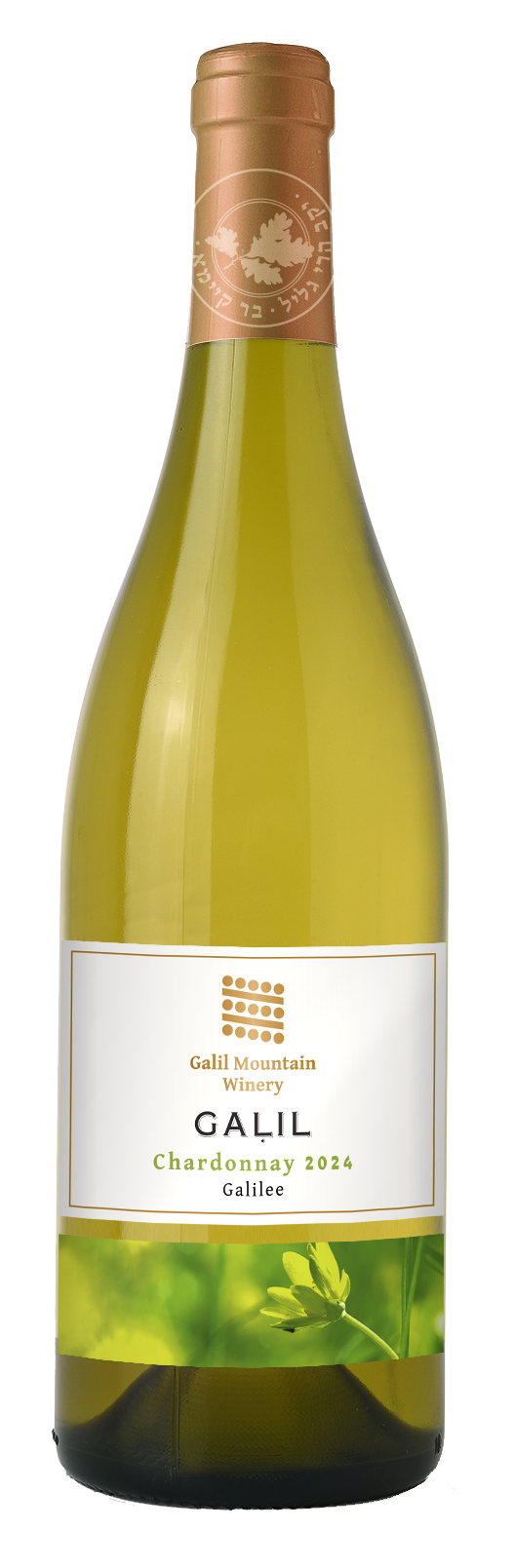 Chardonnay, Galil Mountain Winery