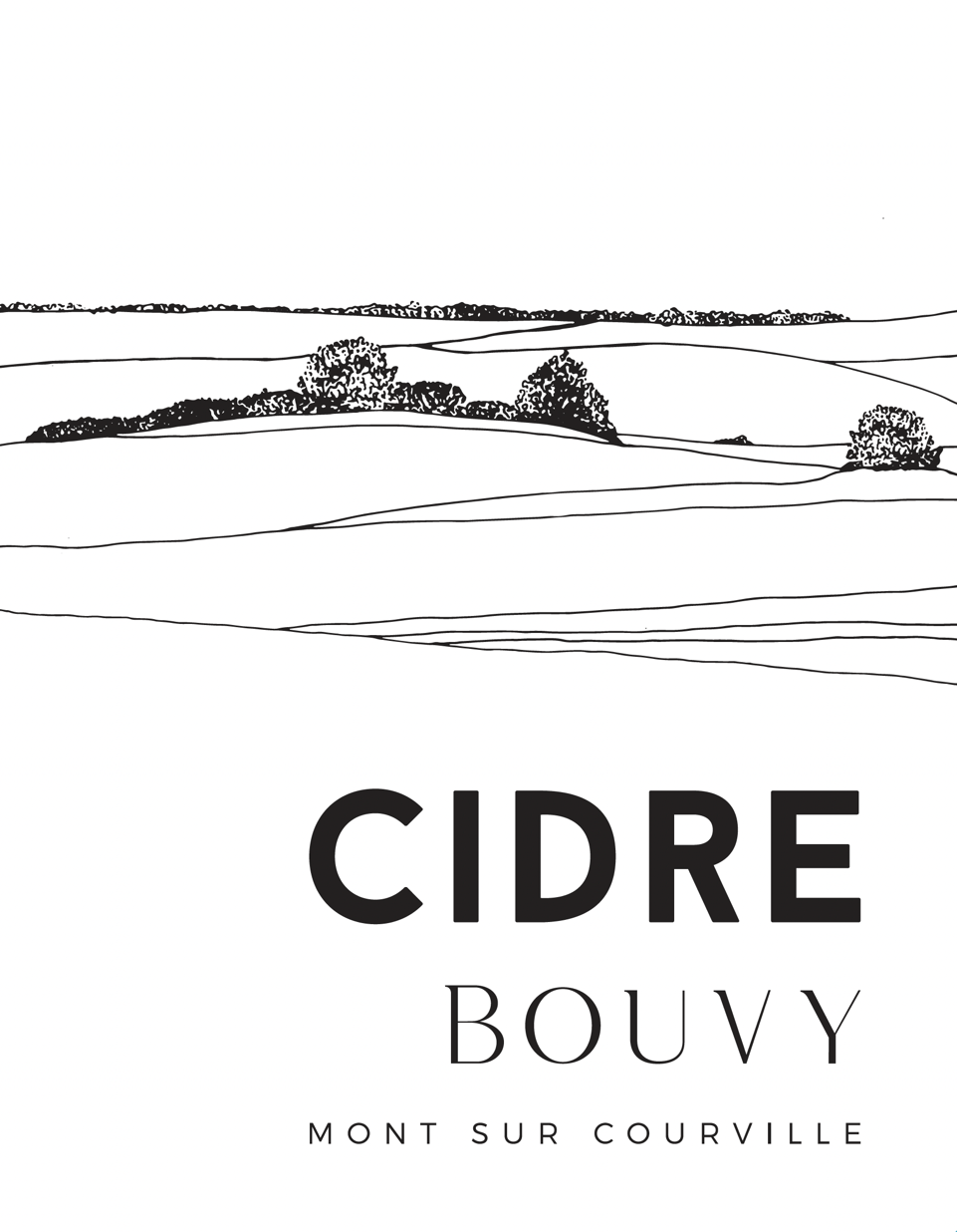 Cider Extra Brut [Pet Nat], Cidre Bouvy 2022