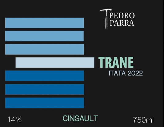 Cinsault 'Trane', Pedro Parra 2023