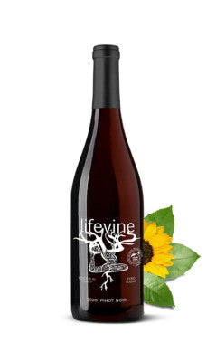 Lifevine Pinot Noir