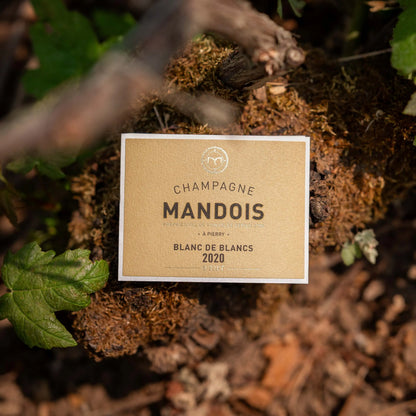 Mandois Champagne Blanc De Blancs 2020