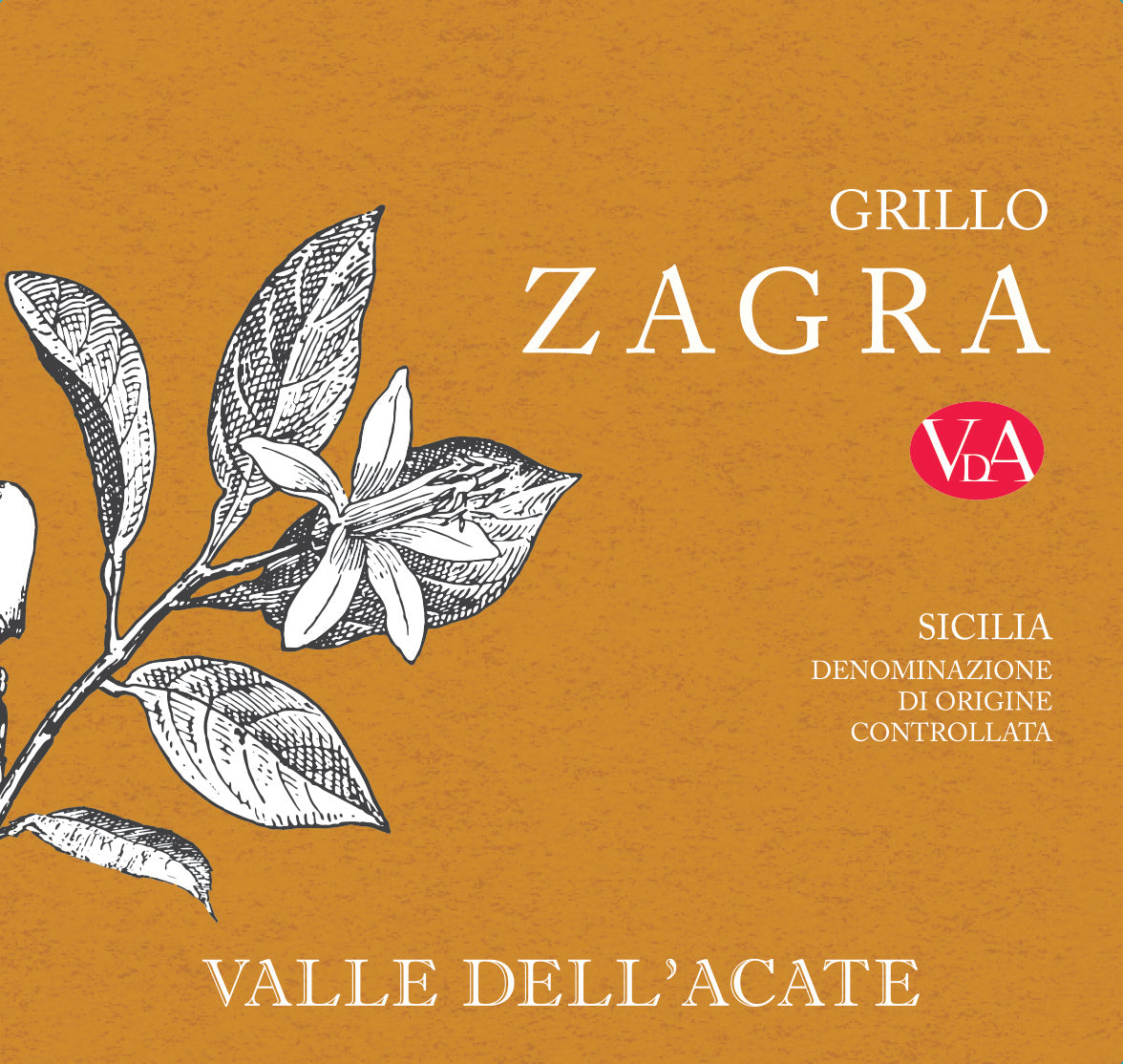Grillo 'Zagra', Valle Dell'Acate