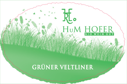 Gruner Veltliner, Hofer 2023